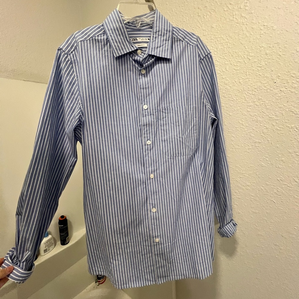 Zara Skinny Stripe Button Down